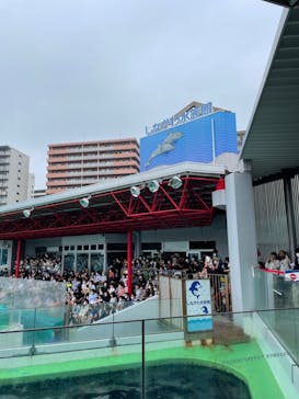 しながわ水族館に投稿された画像（2022/9/23）