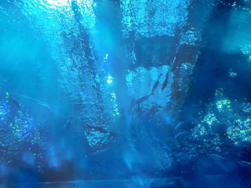 沖縄美ら海水族館に投稿された画像（2022/9/23）