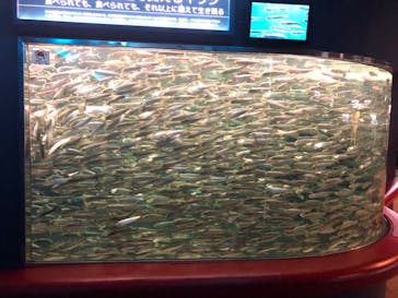 株式会社Gに投稿された画像（2022/9/24）