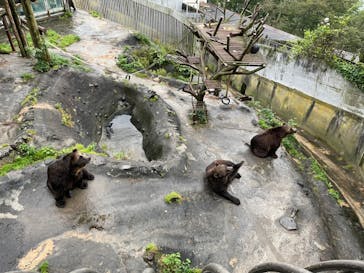 のぼりべつクマ牧場に投稿された画像（2022/8/23）