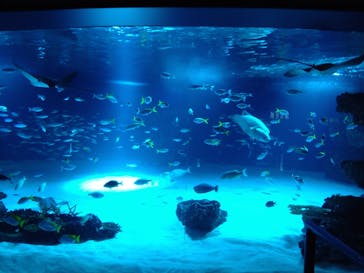 サンシャイン水族館に投稿された画像（2022/9/24）