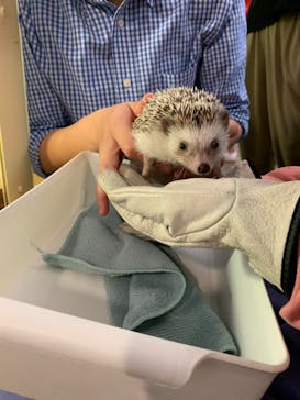 Moff アニマル カフェ イーアス 高尾店に投稿された画像（2022/9/24）