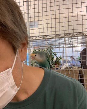 Moff アニマル カフェ イーアス 高尾店に投稿された画像（2022/9/24）