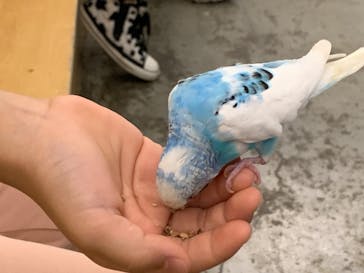 Moff アニマル カフェ イーアス 高尾店に投稿された画像（2022/9/24）