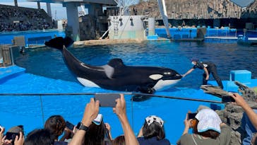 名古屋港水族館に投稿された画像（2022/9/24）