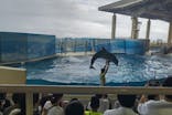 新江ノ島水族館に投稿された画像（2022/9/24）