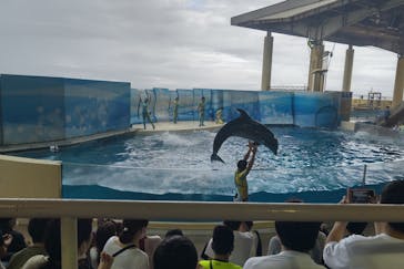 新江ノ島水族館に投稿された画像（2022/9/24）