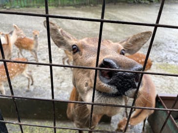 那須サファリパークに投稿された画像（2022/9/24）