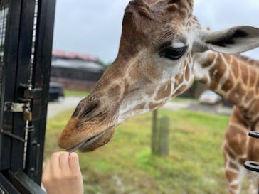 那須サファリパークに投稿された画像（2022/9/24）