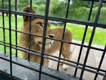 那須サファリパークに投稿された画像（2022/9/24）