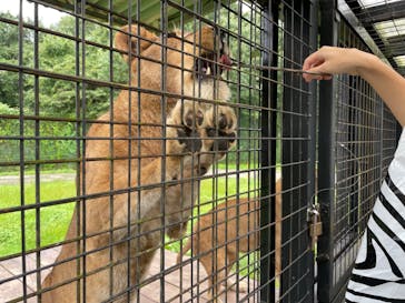 那須サファリパークに投稿された画像（2022/9/24）