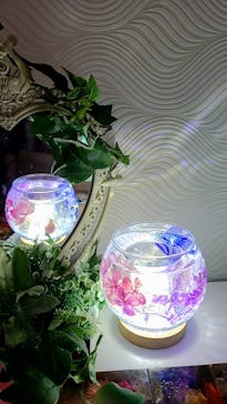 ずこうしつ〜sugamo〜に投稿された画像（2022/9/24）