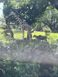 天王寺動物園に投稿された画像（2022/9/24）