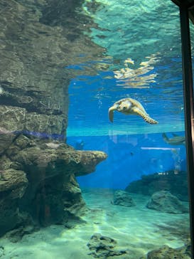 名古屋港水族館に投稿された画像（2022/9/24）