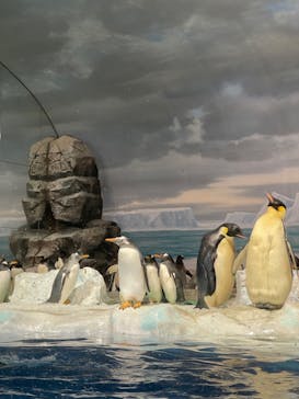 名古屋港水族館に投稿された画像（2022/9/24）