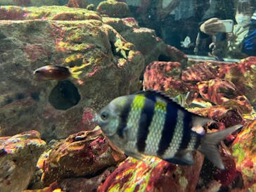 名古屋港水族館に投稿された画像（2022/9/24）