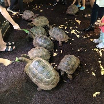 体感型動物園iZooに投稿された画像（2022/9/24）