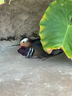 神戸どうぶつ王国に投稿された画像（2022/9/24）