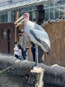 神戸どうぶつ王国に投稿された画像（2022/9/24）