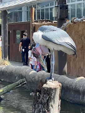 神戸どうぶつ王国に投稿された画像（2022/9/24）