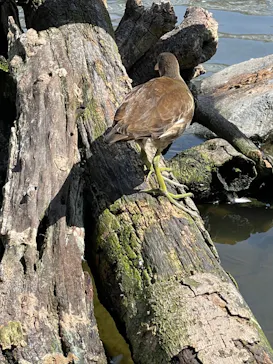 神戸どうぶつ王国に投稿された画像（2022/9/24）