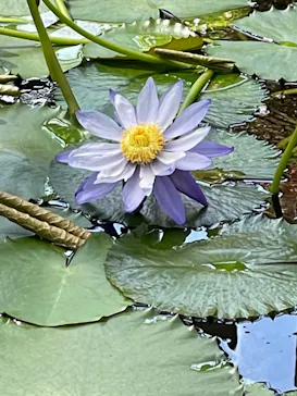 神戸どうぶつ王国に投稿された画像（2022/9/24）