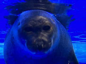 サンシャイン水族館に投稿された画像（2022/9/24）