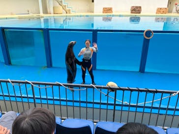 伊豆・三津シーパラダイスに投稿された画像（2022/9/24）