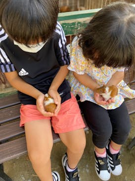 しろとり動物園に投稿された画像（2022/9/24）