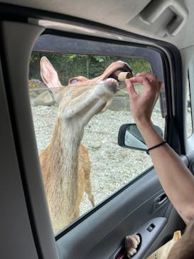 那須サファリパークに投稿された画像（2022/9/24）