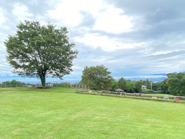 世界の名犬牧場に投稿された画像（2022/9/24）