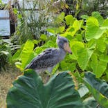 神戸どうぶつ王国に投稿された画像（2022/9/24）