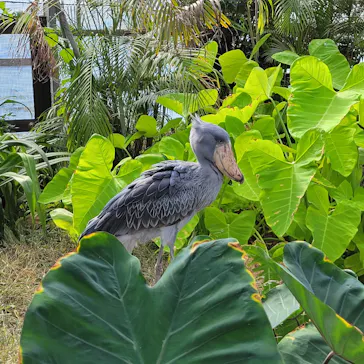 神戸どうぶつ王国に投稿された画像（2022/9/24）