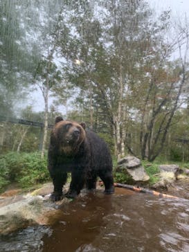 サホロリゾート　ベア･マウンテンに投稿された画像（2022/9/24）