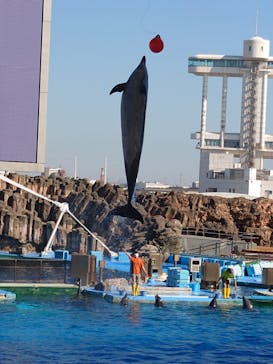 名古屋港水族館に投稿された画像（2022/9/24）