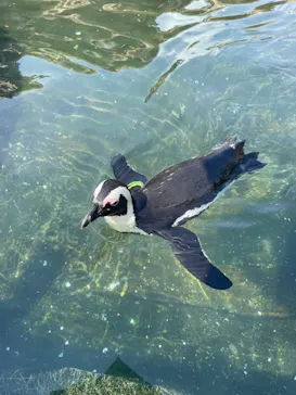 神戸どうぶつ王国に投稿された画像（2022/9/24）