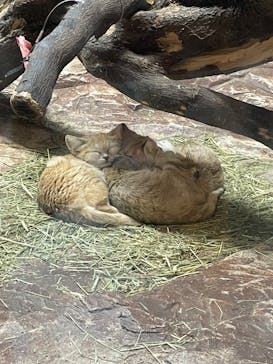 那須どうぶつ王国に投稿された画像（2022/9/24）