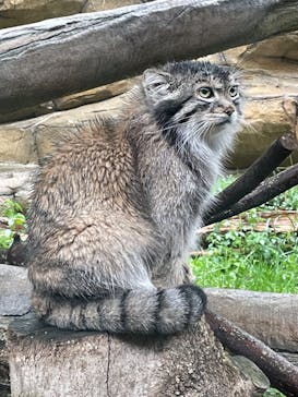 那須どうぶつ王国に投稿された画像（2022/9/24）