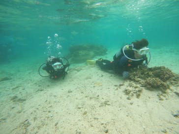 沖縄マリンサービス碧に投稿された画像（2022/9/24）