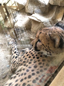 姫路セントラルパークに投稿された画像（2022/9/24）