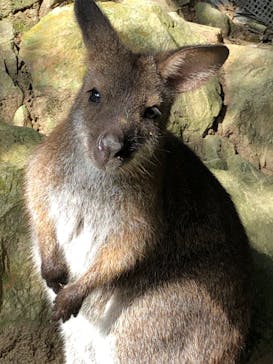 姫路セントラルパークに投稿された画像（2022/9/24）