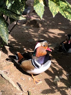 姫路セントラルパークに投稿された画像（2022/9/24）