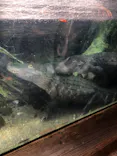 天王寺動物園に投稿された画像（2022/9/24）