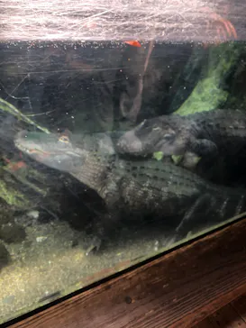 天王寺動物園に投稿された画像（2022/9/24）