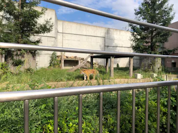 天王寺動物園に投稿された画像（2022/9/24）