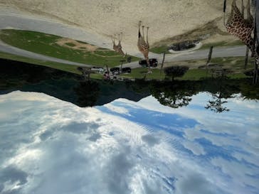 姫路セントラルパークに投稿された画像（2022/9/24）