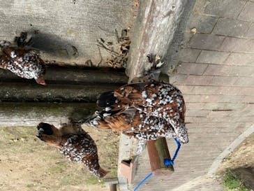 姫路セントラルパークに投稿された画像（2022/9/24）