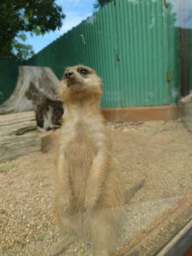 しろとり動物園に投稿された画像（2022/9/24）