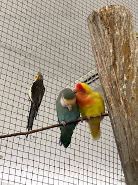 Moff アニマル カフェ イーアス 高尾店に投稿された画像（2022/9/24）