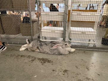 Moff アニマル カフェ イーアス 高尾店に投稿された画像（2022/9/24）